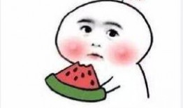 屠小杰吃瓜群众,吃瓜群众的视角解读娱乐圈风云