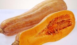 兰瓜可以天天吃,每日美食，健康相伴