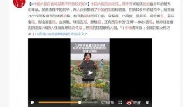 吃瓜天堂91,网络热点的聚集地与狂欢场