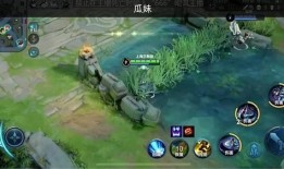 吃瓜君王者荣耀,吃瓜君带你领略王者荣耀的精彩瞬间