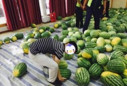 学校怎么吃瓜,揭秘校园里的那些“吃瓜”趣事