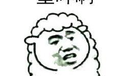 吃瓜不打咩,网络流行语的魅力与影响