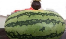 大家文明吃瓜,共享和谐网络空间