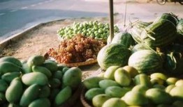 中国吃瓜视频全集,揭秘娱乐圈幕后真相