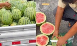 小杨哥吃生瓜还是熟瓜,揭秘他的健康饮食智慧