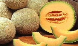 哈密瓜和啤酒一起吃吗,美味还是禁忌？