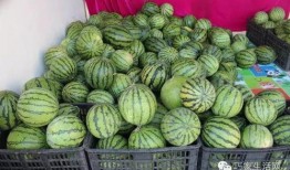 吃瓜的沐洞,揭秘娱乐圈幕后故事