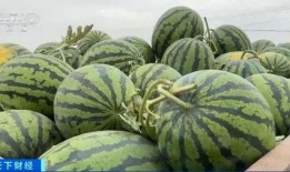 邓川最新吃瓜,最新吃瓜事件深度解析