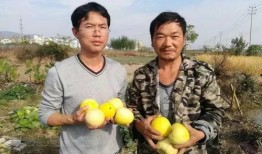 徐州吃瓜的群众,吃瓜群众的热议焦点