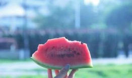 安静吃瓜的呆瓜,呆瓜的悠闲生活