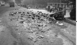 路边吃瓜被车撞