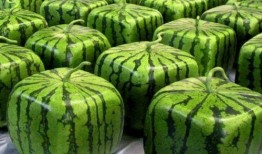 吃瓜环节中,一场全民参与的娱乐盛宴