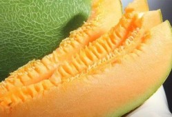 蜜瓜几月吃,夏季最佳时令美味，尽享清凉甜蜜时光