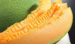 蜜瓜几月吃,夏季最佳时令美味，尽享清凉甜蜜时光