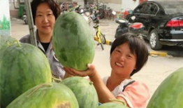 小区同事吃瓜,同事吃瓜大揭秘