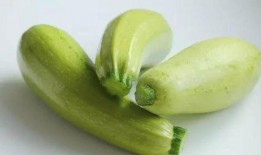 吃茭瓜胃疼,揭秘茭瓜食用注意事项