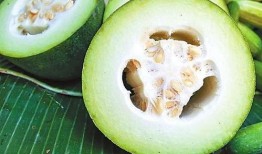 佳明吃的瓜,探寻佳明瓜的独特魅力