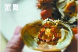 荆州吃武汉的瓜,共享美食盛宴