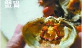 荆州吃武汉的瓜,共享美食盛宴