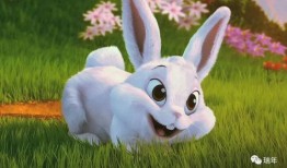 野餐兔吃瓜什么梗,揭秘兔子界的“美食”之谜