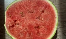 吃瓜极品系列,一场视觉与味蕾的双重盛宴