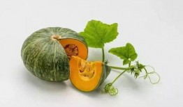 华县吃瓜女,揭秘当地独特的饮食文化