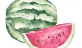 吃瓜之星,揭秘娱乐圈幕后风云