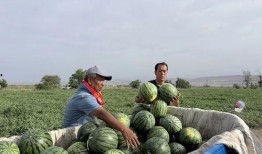 吃瓜的沐洞,揭秘娱乐圈幕后故事