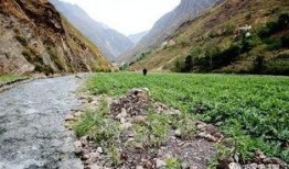 吃瓜的沐洞,揭秘娱乐圈幕后故事