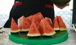 学校怎么吃瓜,揭秘校园里的那些“吃瓜”趣事