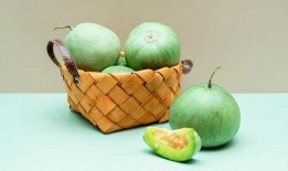 霸气的吃瓜视频,霸气回应！吃瓜视频揭秘幕后真相