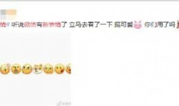 微信 吃瓜客服,揭秘网络红人的幕后助手