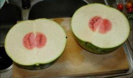 吃瓜极品系列,一场视觉与味蕾的双重盛宴