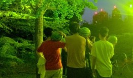 吃瓜 又到毕业季,校园风云录