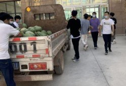 莆田吃瓜新闻,揭秘当地热点事件背后的真相与争议